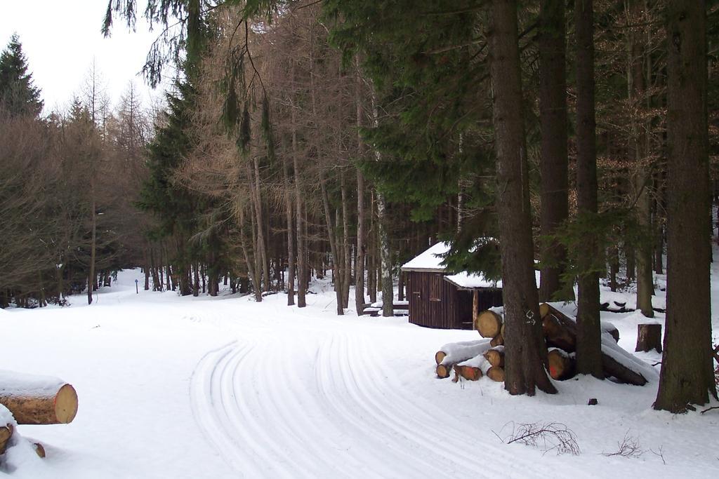 Fewo Wilke Willingen  Luaran gambar