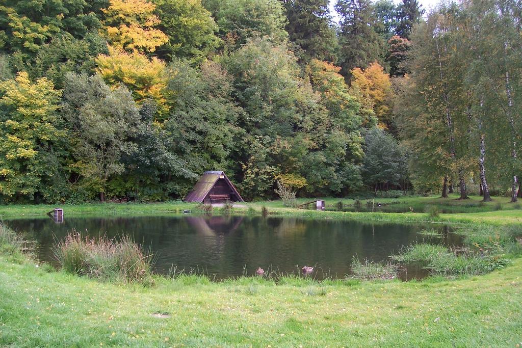 Fewo Wilke Willingen  Luaran gambar